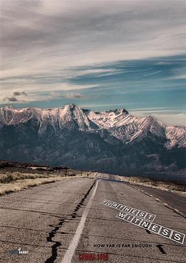 最遥远的证人封面图