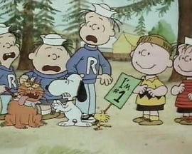 史努比的惊险夏令营封面图