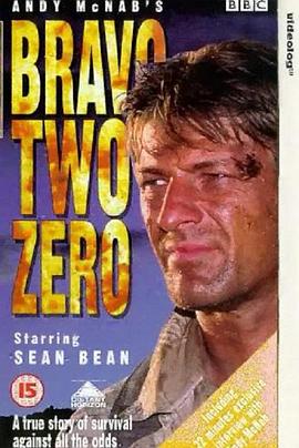 战火实录封面图