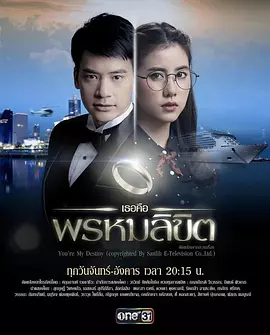 命中注定我爱你封面图