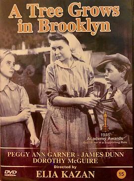 布鲁克林有棵树封面图