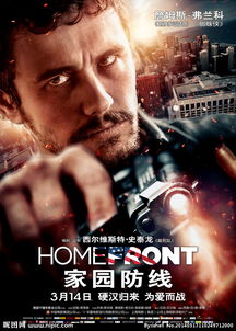 家园防线(2014)封面图