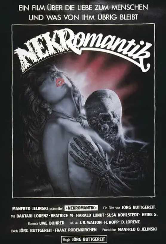 困惑的浪漫封面图