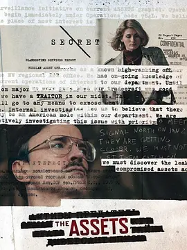 谍海浮沉封面图