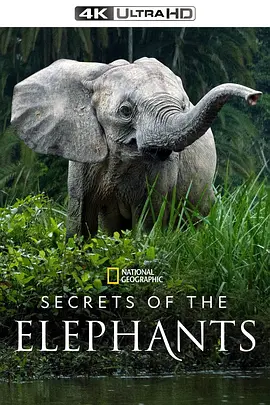 Secrets of the Elephants Season 1封面图