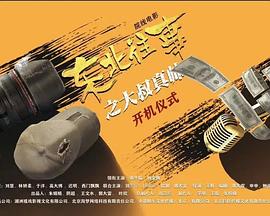 东北往事之大叔真帅封面图