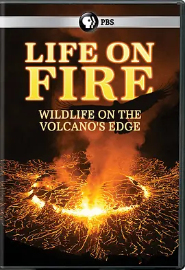 活火生机封面图