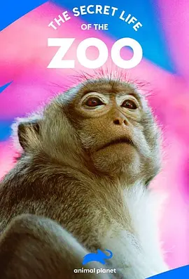 动物园的秘密生活 第三季封面图