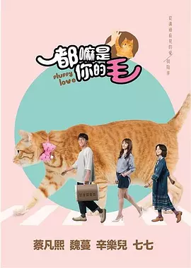 都嘛是你的毛封面图