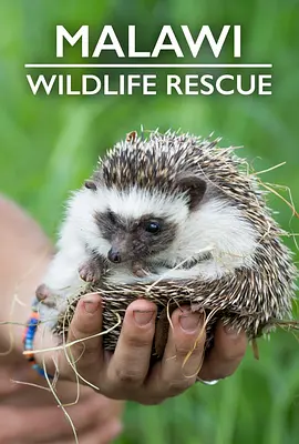 Malawi Wildlife Rescue Season 1封面图