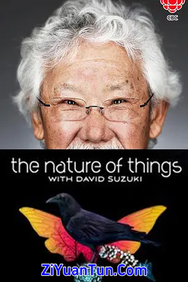 事物的本质封面图