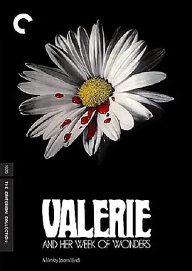 消失足迹的殿堂封面图