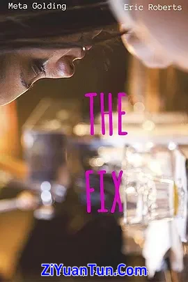 The Fix封面图