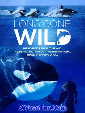 Long Gone Wild封面图