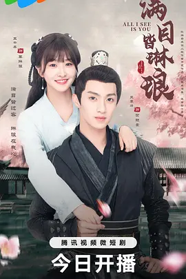 满目皆琳琅封面图