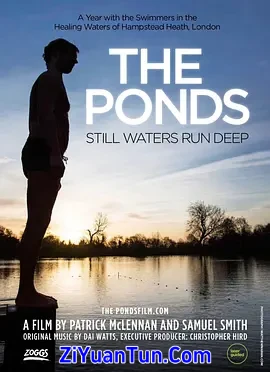 The Ponds封面图