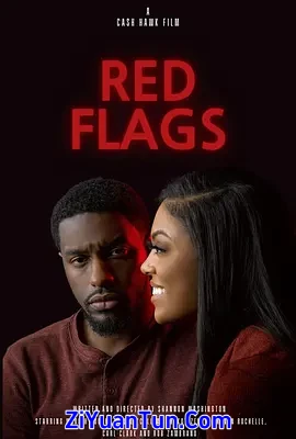 Red Flags封面图