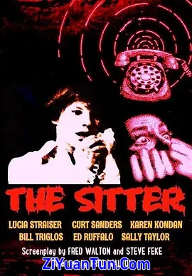 The Sitter封面图