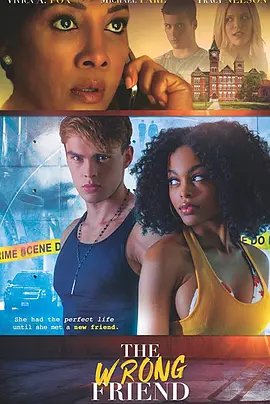 The Wrong Friend封面图