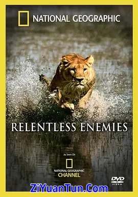 国家地理：冷酷宿敌封面图