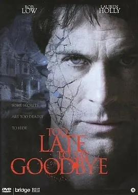 太晚说再见封面图