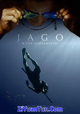 水下人生封面图
