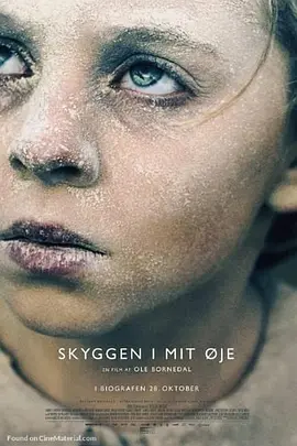 我眼中的阴影封面图