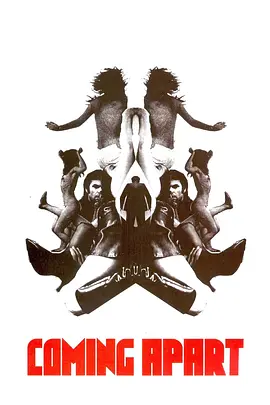 寂寞摄影机封面图