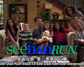 菜鸟老爹 第二季封面图