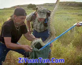 取毒高手封面图