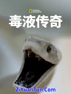 毒液传奇 第一季封面图