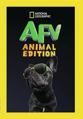 笑笑小电影：动物篇 第一季封面图