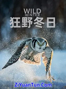 狂野冬日 第一季封面图