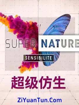 超级仿生封面图