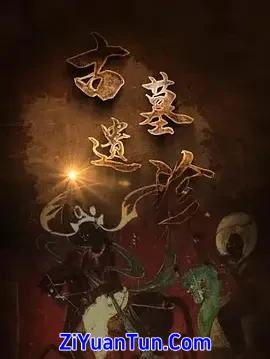 古墓遗珍封面图