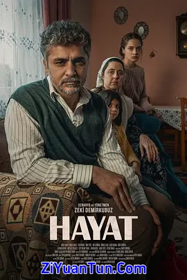 Hayat封面图