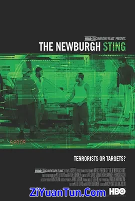 The Newburgh Sting封面图