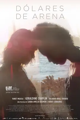 沙之美元封面图