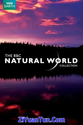 BBC 自然世界 2010 神秘的豹封面图