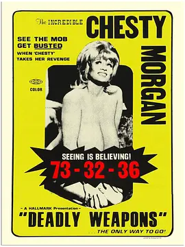 死亡武器封面图