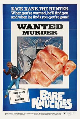 赤拳出击封面图