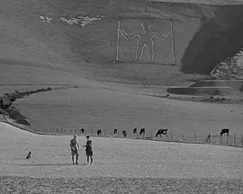 Family Portrait封面图