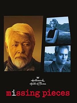 Missing Pieces封面图