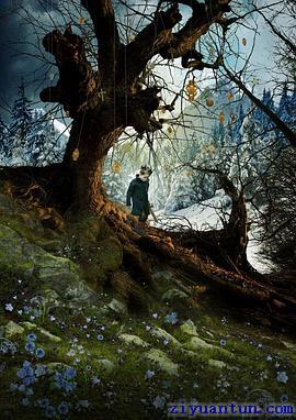 英国皇家歌剧院：冬天的故事封面图