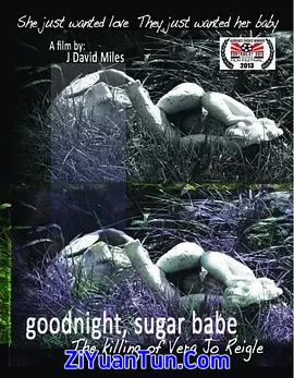 Goodnight, Sugar Babe: The Killing of Vera Jo Reigle封面图
