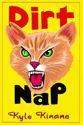 凯尔·金南：长眠封面图