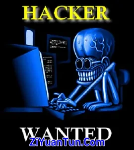 Hackers Wanted封面图