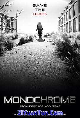 Monochrome封面图