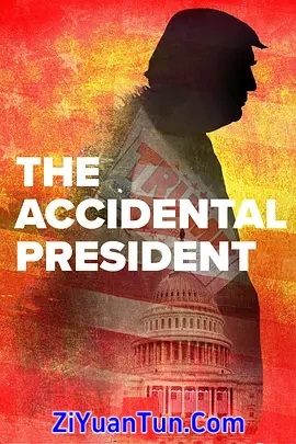 The Accidental President封面图