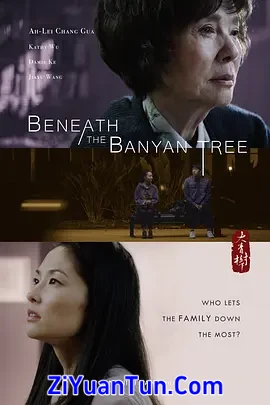 大青树下封面图
